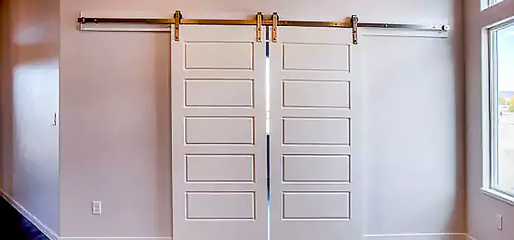 Glass Barn Door with Installation Hardware Kit Bayonne